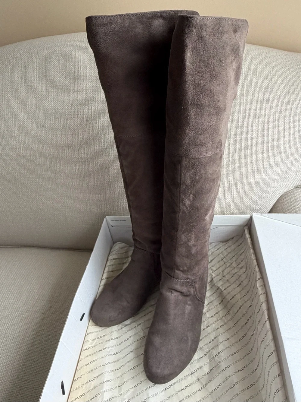 Aldo Brown Suede Over-the-Knee Boots